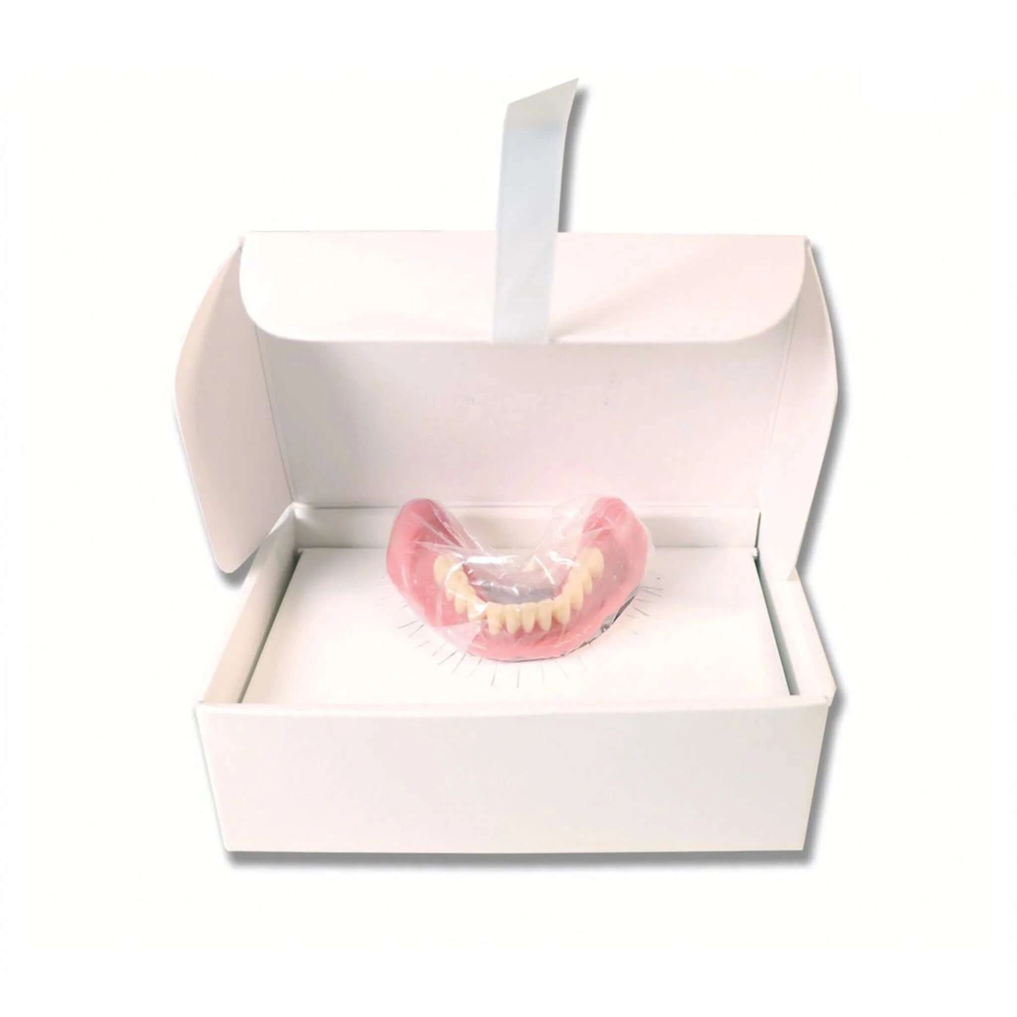 Easy Denture - Image 5